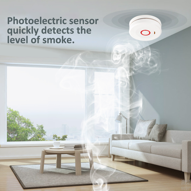 Standalone Smoke Detector - Ningbo Deling Electron Technology Company