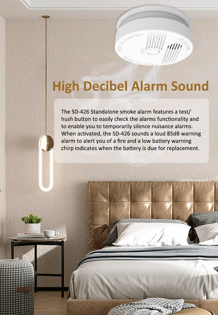 Standalone Smoke Detector - Ningbo Deling Electron Technology Company